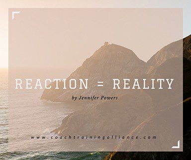Reaction = Reality