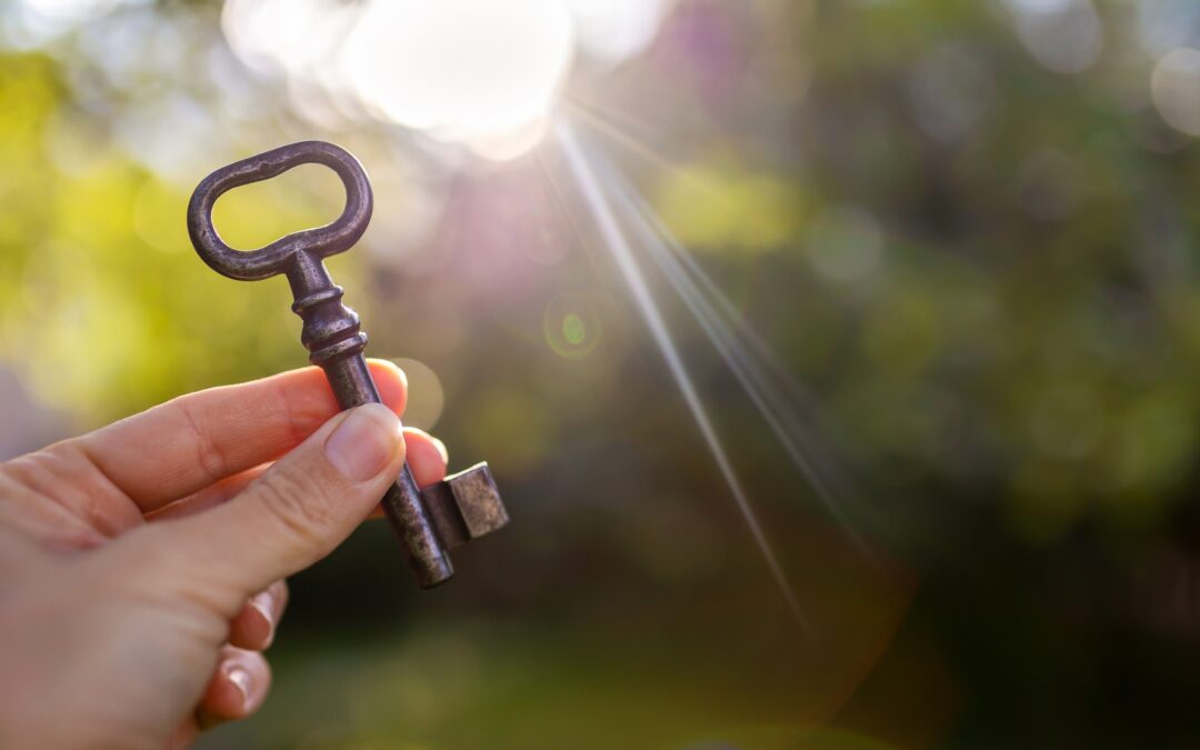 How ICF Accredited Coaching Programs Can Elevate Your Coaching Career