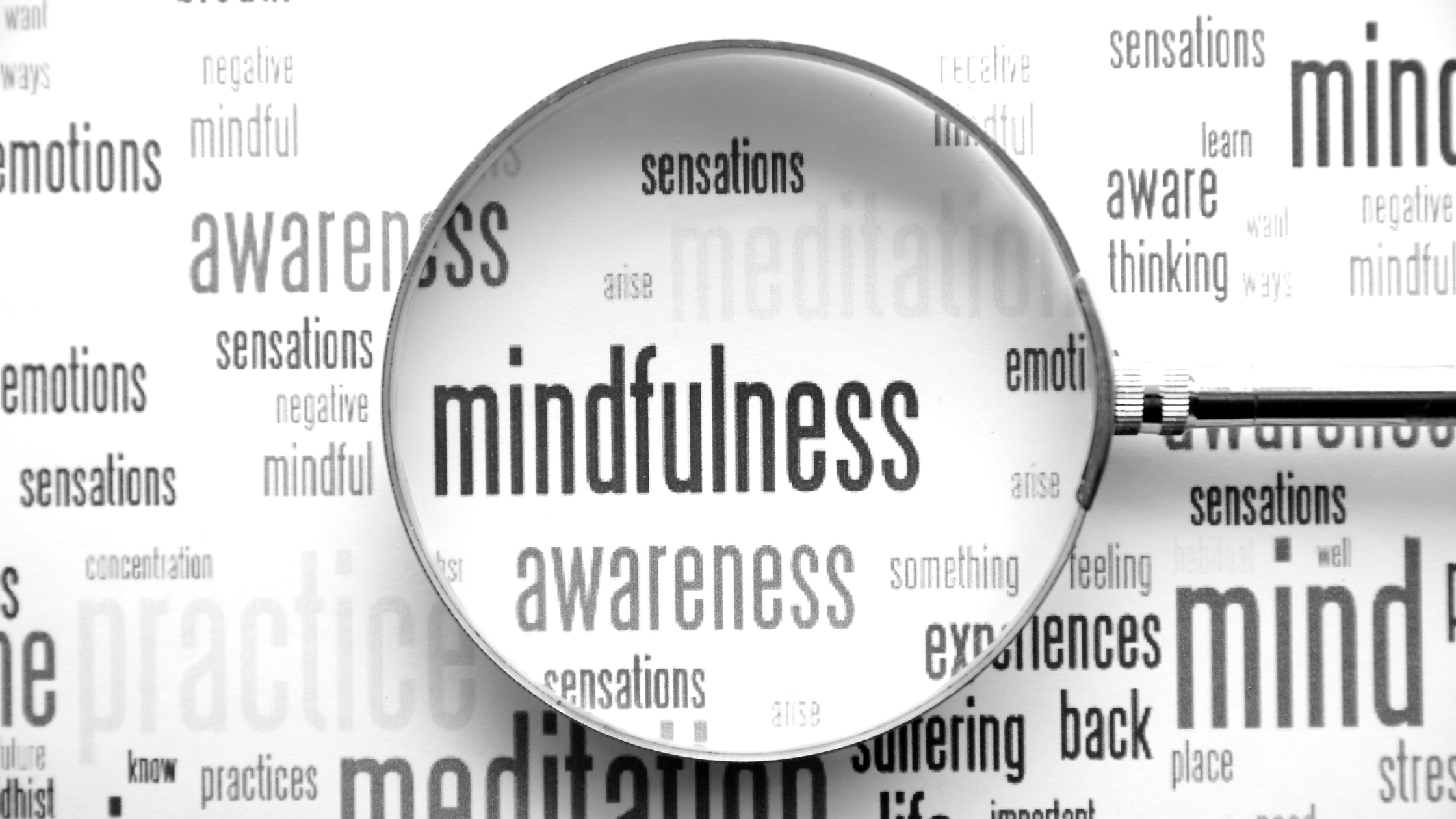 Mindfulness Coach Certification
